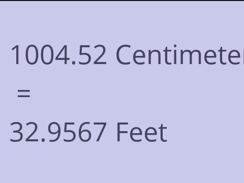 1004.52 CM TO FEET