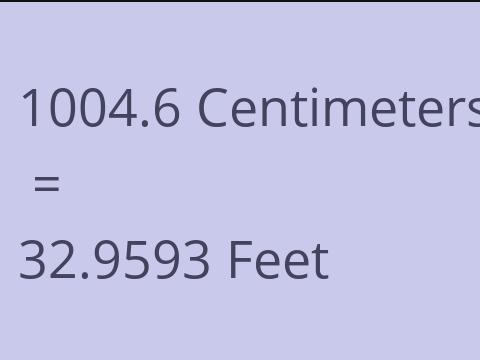 1004.6 CM TO FEET