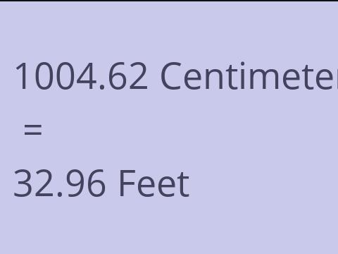 1004.62 CM TO FEET