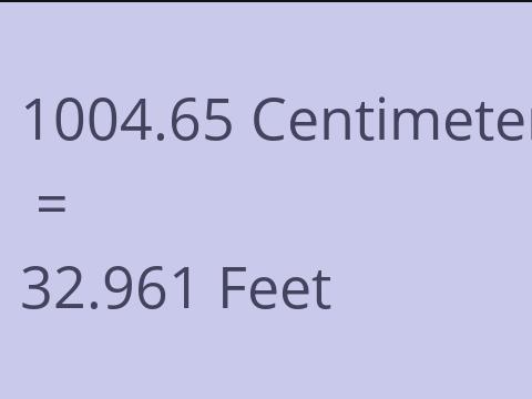 1004.65 CM TO FEET