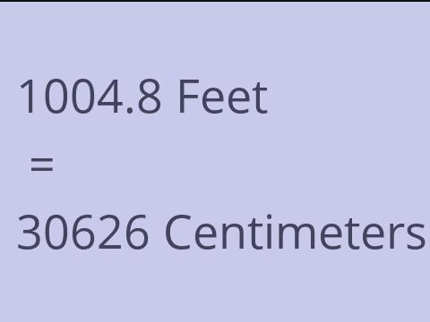 1004.8 FEET TO CM