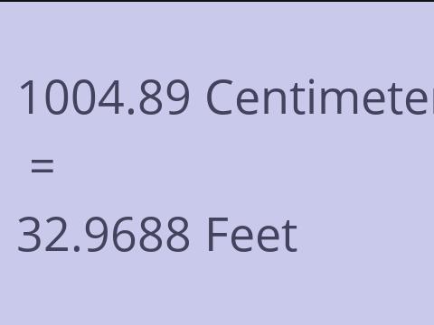 1004.89 CM TO FEET