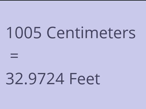 1005 CM TO FEET