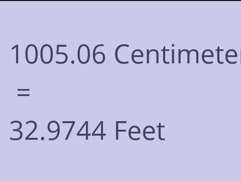 1005.06 CM TO FEET