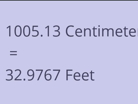 1005.13 CM TO FEET