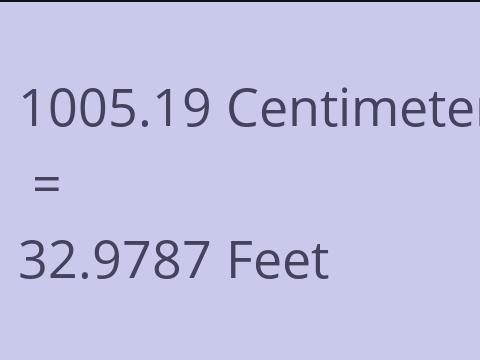 1005.19 CM TO FEET