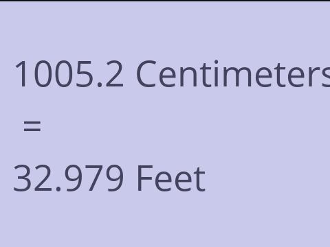 1005.2 CM TO FEET