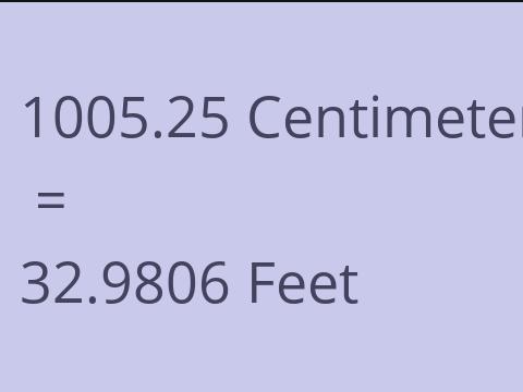 1005.25 CM TO FEET