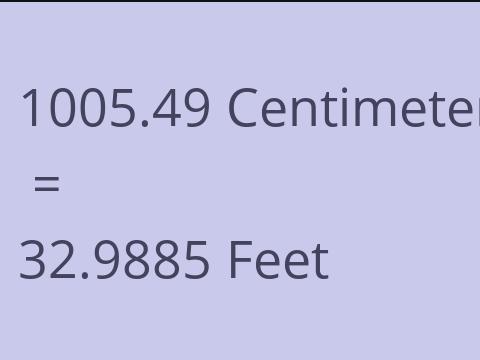 1005.49 CM TO FEET