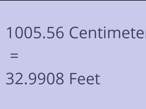 1005.56 CM TO FEET