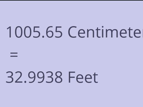 1005.65 CM TO FEET