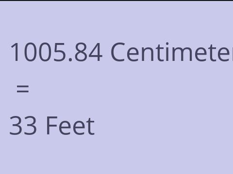 1005.84 CM TO FEET