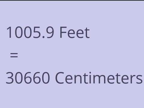 1005.9 FEET TO CM