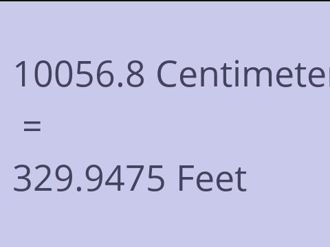 10056.8 CM TO FEET