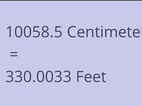 10058.5 CM TO FEET