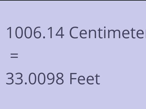 1006.14 CM TO FEET