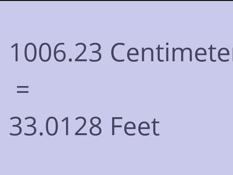 1006.23 CM TO FEET