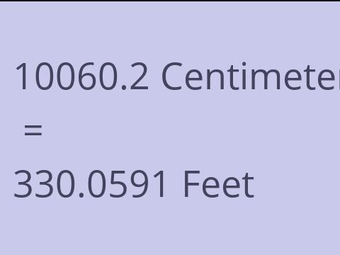 10060.2 CM TO FEET