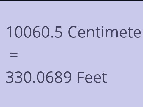 10060.5 CM TO FEET