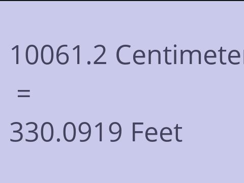 10061.2 CM TO FEET