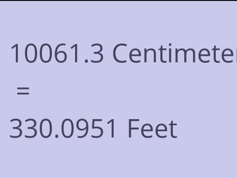 10061.3 CM TO FEET