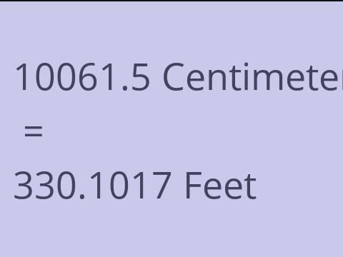 10061.5 CM TO FEET