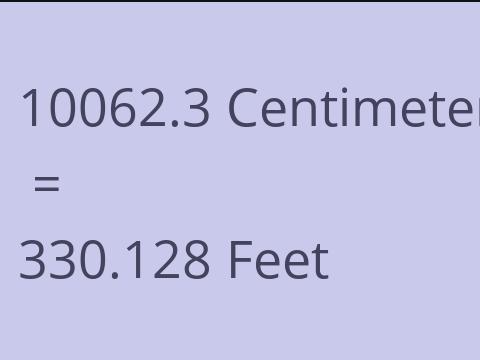 10062.3 CM TO FEET