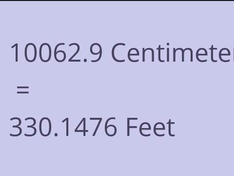 10062.9 CM TO FEET