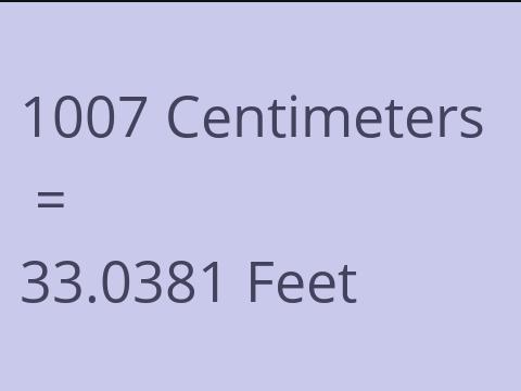 1007 CM TO FEET