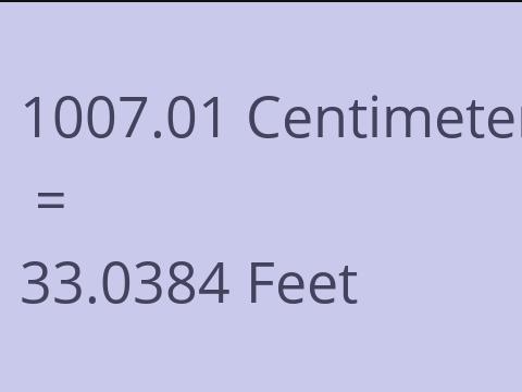 1007.01 CM TO FEET