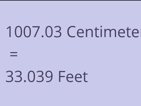 1007.03 CM TO FEET