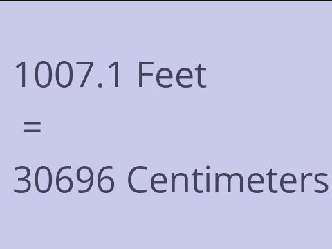 1007.1 FEET TO CM