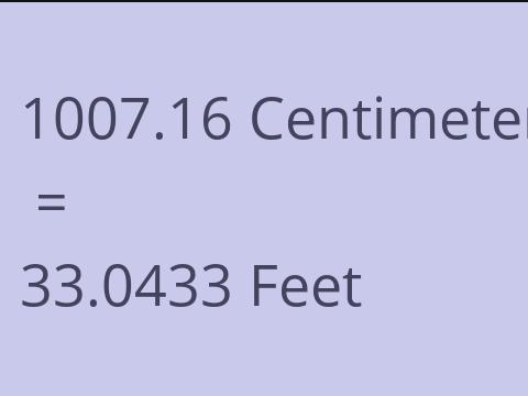 1007.16 CM TO FEET