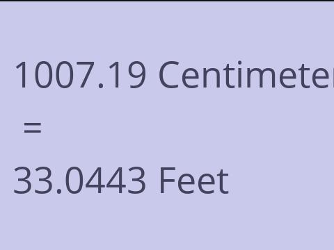 1007.19 CM TO FEET