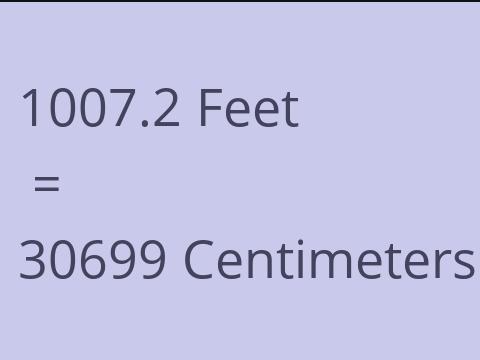 1007.2 FEET TO CM