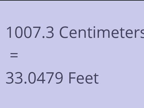 1007.3 CM TO FEET