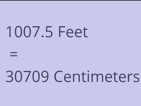 1007.5 FEET TO CM