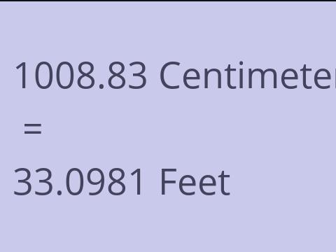 1008.83 CM TO FEET