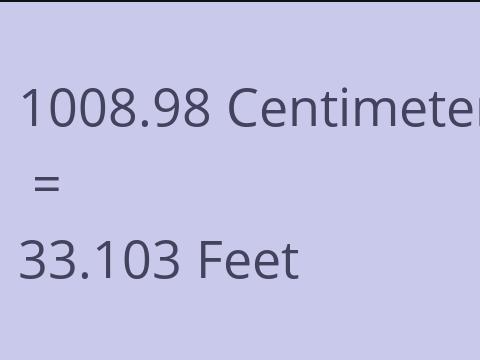 1008.98 CM TO FEET