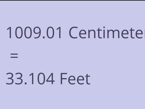 1009.01 CM TO FEET