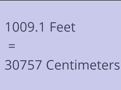 1009.1 FEET TO CM