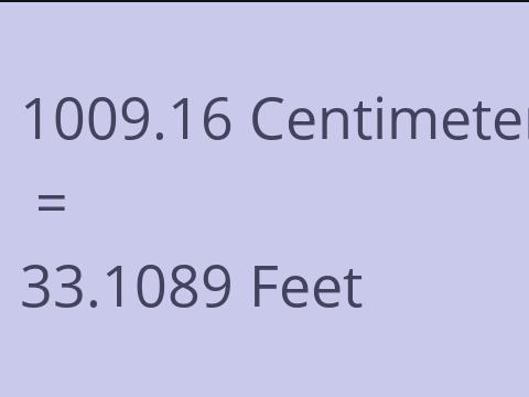 1009.16 CM TO FEET