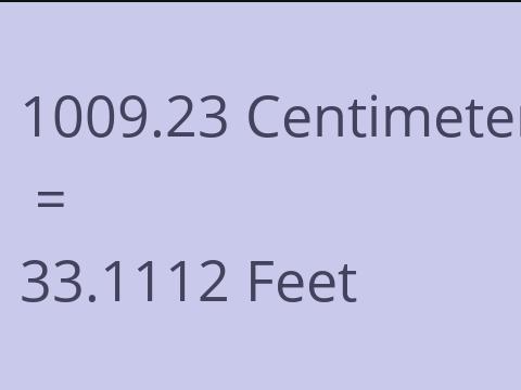 1009.23 CM TO FEET