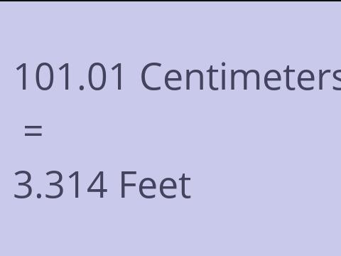 101.01 CM TO FEET