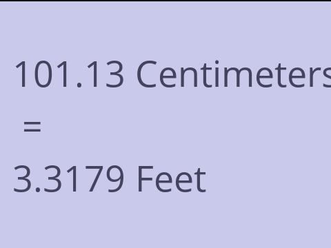 101.13 CM TO FEET