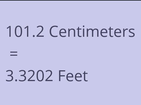 101.2 CM TO FEET