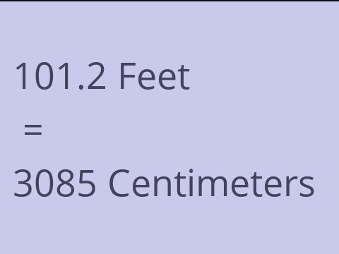 101.2 FEET TO CM