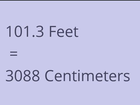 101.3 FEET TO CM