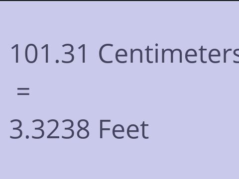 101.31 CM TO FEET