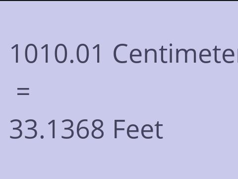 1010.01 CM TO FEET